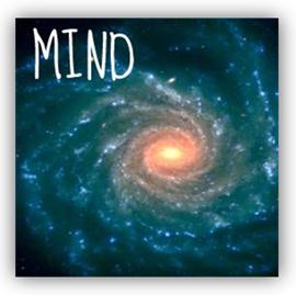 Mind Introduction Article Image