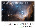 Contact The Institute